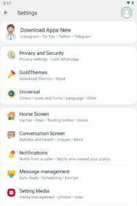 Blue WhatsApp Main Setting